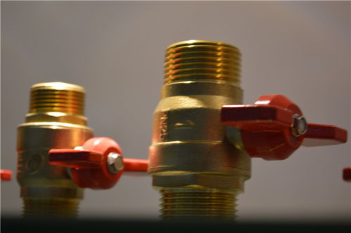 达柏林阀门 批发零售 厂家直销